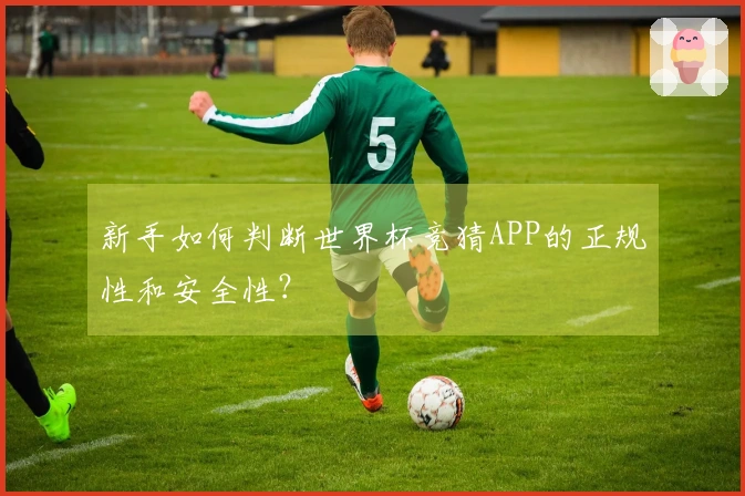 新手如何判断世界杯竞猜APP的正规性和安全性？