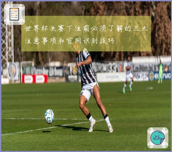 世界杯决赛下注前必须了解的三大注意事项和官网识别技巧